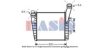 AKS DASIS 487018N Intercooler, charger